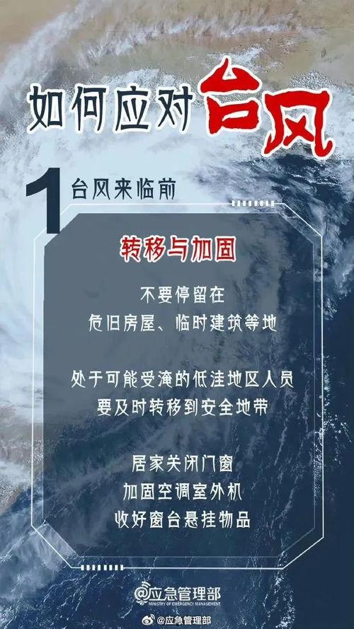 最新台风爆料消息今天新闻,揭秘今日新闻焦点!”